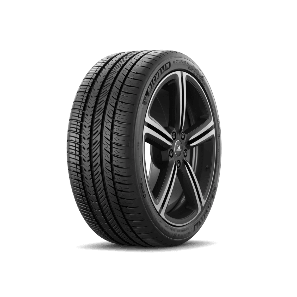 Michelin PILOT SPORT ALL SEASON 4 NE0 295/35 R22